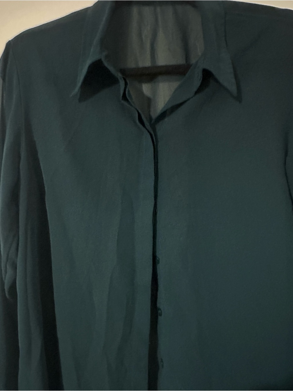 Abercrombie & Fitch Sheer Button Up